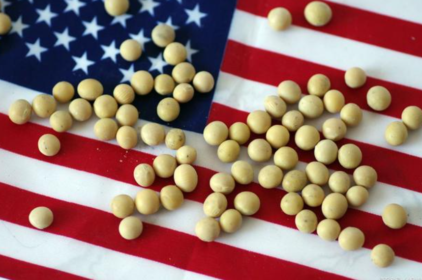美國豆價飛漲，中國仍加大進口量至2050萬噸，為何非得買？