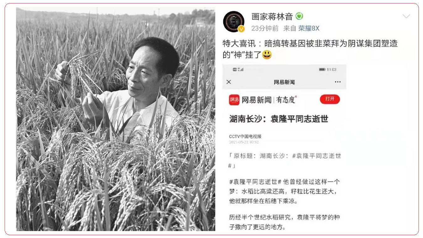 北京對“侮辱袁隆平”零容忍 多省市網民被拘 袁已被神化