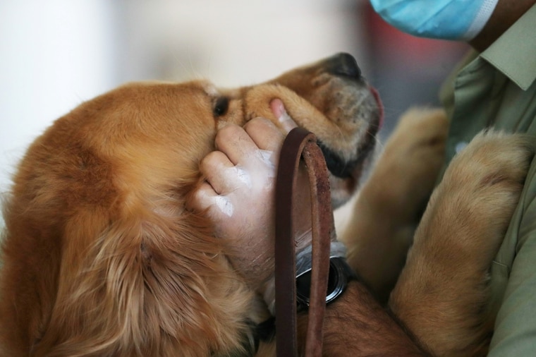 CDC頒一年禁令：來自中國的狗不得進入美國