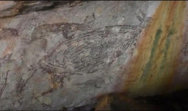 澳洲發現“最古老壁畫” 1萬7000年前袋鼠竟長這樣！
