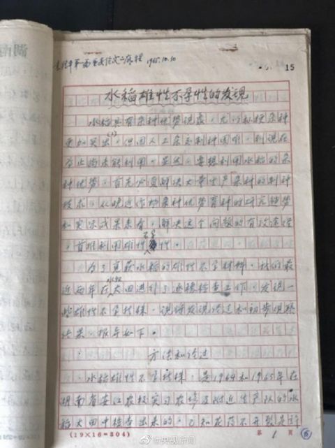 袁隆平雜交水稻論文原始手稿公布！整潔的手寫漢字
