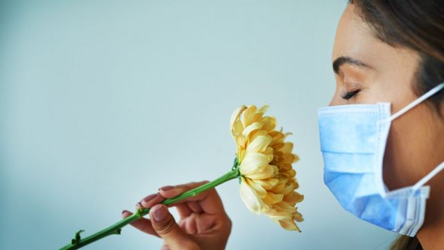 肺炎疫情：喪失嗅覺或味覺是否判斷感染的重要指標- BBC News 中文