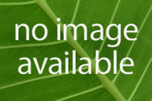 紹伊古：俄已完成“佩雷斯維特”激光武器係統的部署