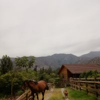 智利Tara農莊
