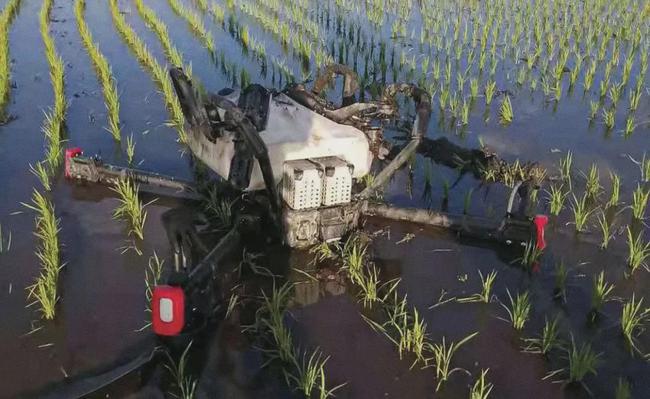 高價雇的無人機一個個摔落 東北農民心都碎了